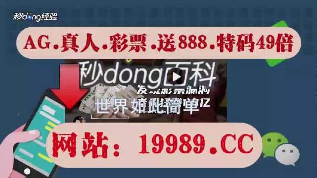 2024澳门天天开好彩大全香港,解析解释说法_专业版