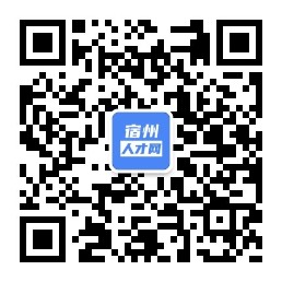 宿州人才网最新招聘信息详解与个人观点分享