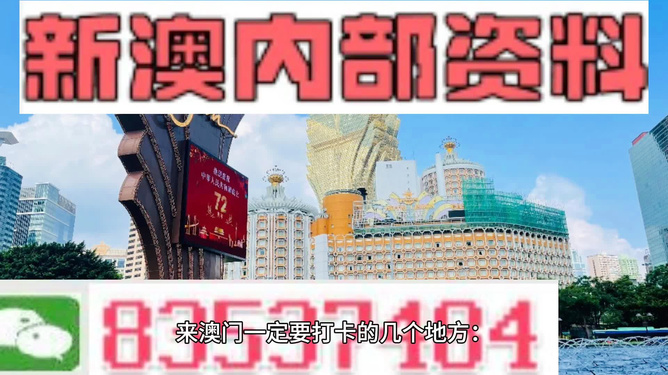 新澳门内部精准二肖,资料精准解析_ROX81.133定向版