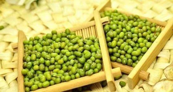 内蒙绿豆价格最新行情,内蒙绿豆价格最新行情指南