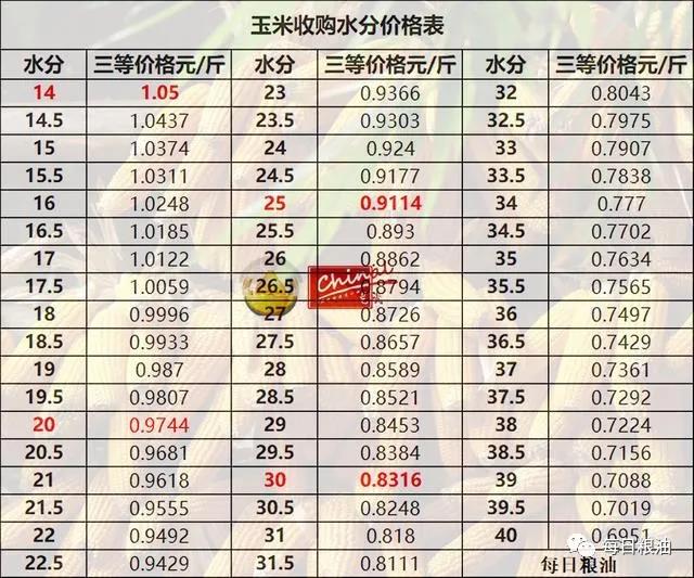 九台玉米价格最新行情,九台玉米价格最新行情分析