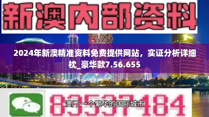 新澳2024正版资料免费公开,稳固执行方案计划_职业版62.110