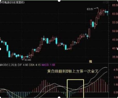 股票黄白线的友情与陪伴之旅，日常故事中的温馨旅程