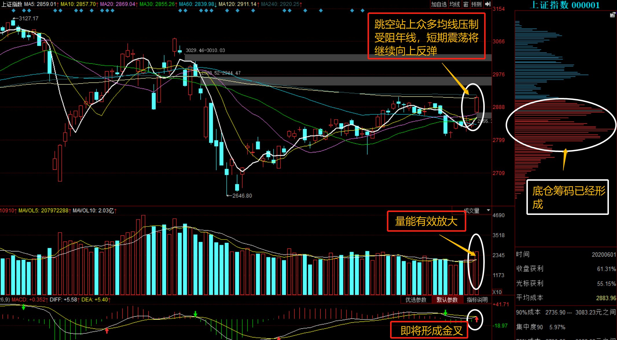 300383股票行情，变化中的机遇与挑战，学习与自信的舞蹈