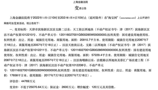 天房集团混改最新动态及其潜在影响，一种观点解析